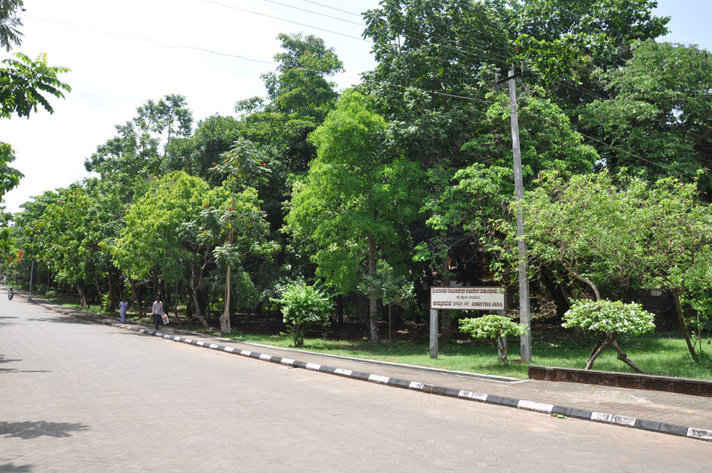 CAMPUS LIFE SDM College of Ayurveda, Udupi