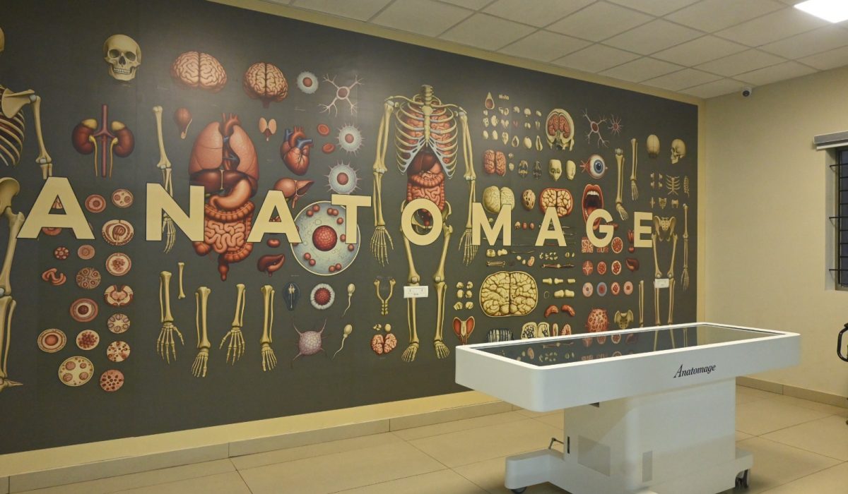 Anatomage 2